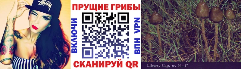 Галлюциногенные грибы мицелий Купить Коломна